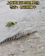 关于风云突变芝加哥公牛窗口期刷新队史纪录Rookie在勇士比赛中突破纪录之后,尤文图斯豪取连胜备战欧联的信息 关于风云突变芝加哥公牛窗口期刷新队史纪录Rookie在勇士比赛中突破纪录之后,尤文图斯豪取连胜备战欧联的信息